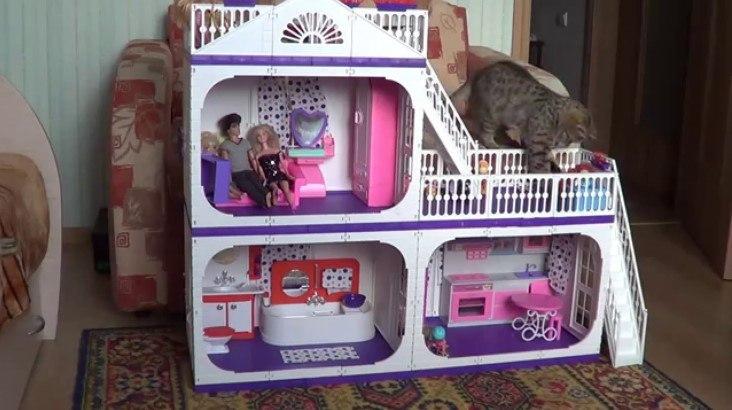 котик в домике, кукольный домик, миниатюра, кукольный дом, кот, милота, Cat, dollhouse, miniature, кукольный, doll, румбокс