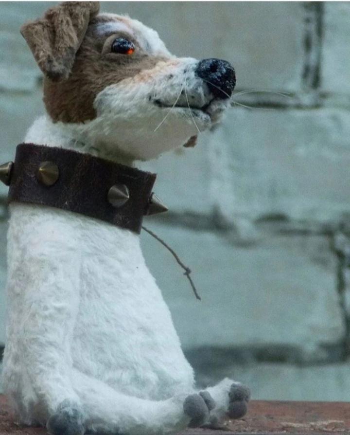 Выкройка собаки тедди джек-рассел-терьера ручной работы, Handmade Teddy Jack Russell Terrier dog pattern