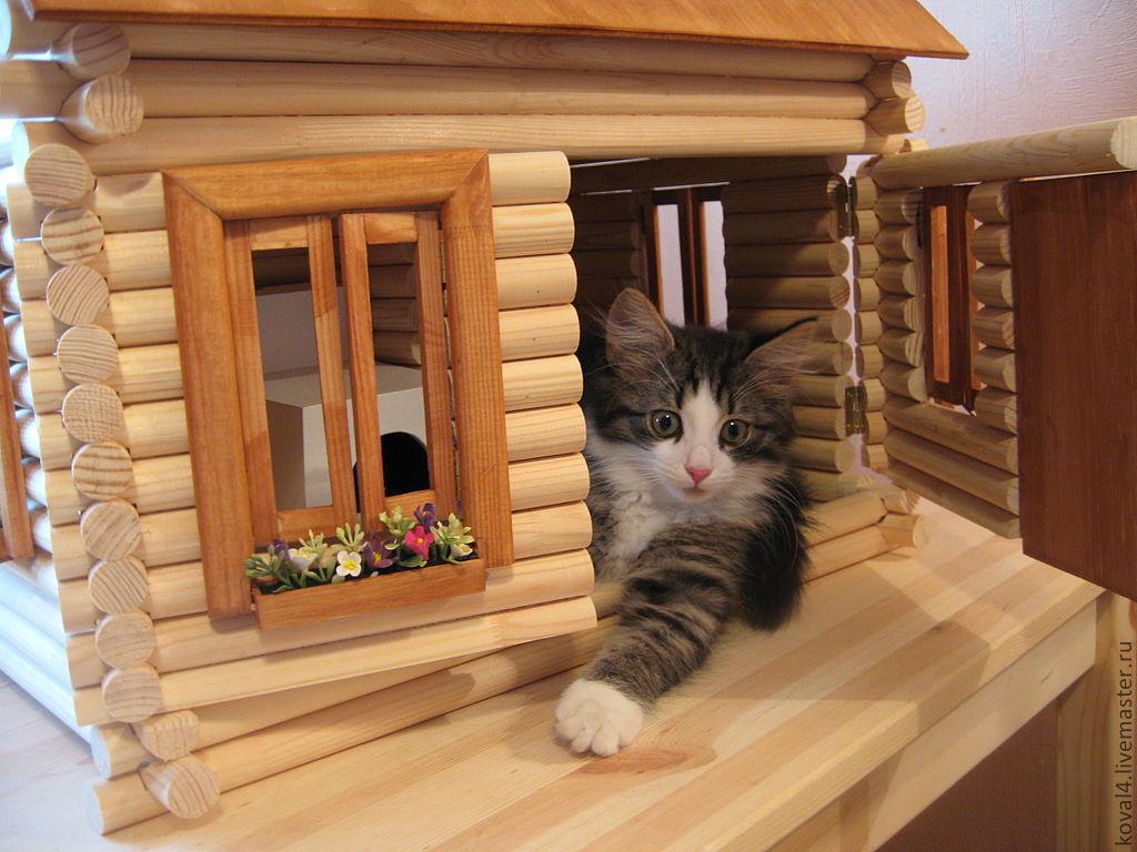 котик в домике, кукольный домик, миниатюра, кукольный дом, кот, милота, Cat, dollhouse, miniature, кукольный, doll, румбокс